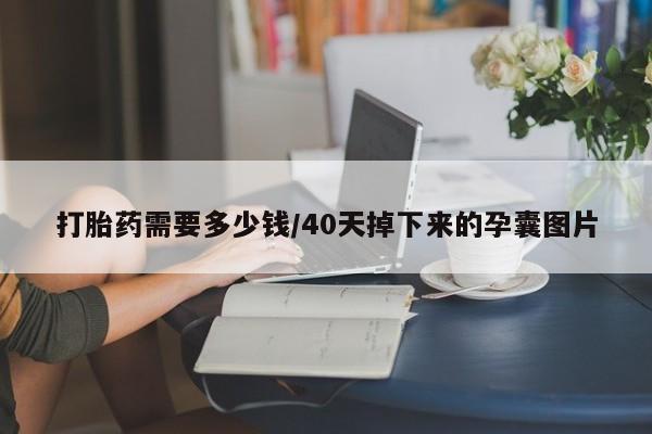 流产药网上购买打胎药需要多少钱/40天掉下来的孕囊图片